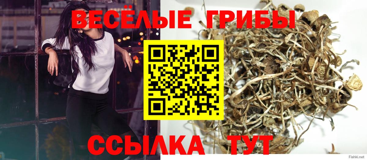 Соль-Илецк  Псилоцибиновые грибы мухоморы  Псилоцибиновые грибы мицелий  магазин    Вход с VPN 